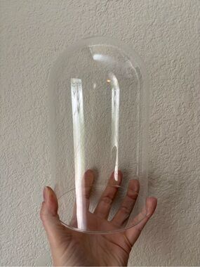 Glass Cloche Dome
